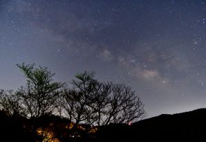 星空ページ c5edee7e303cadcbd9e019605ed8f5