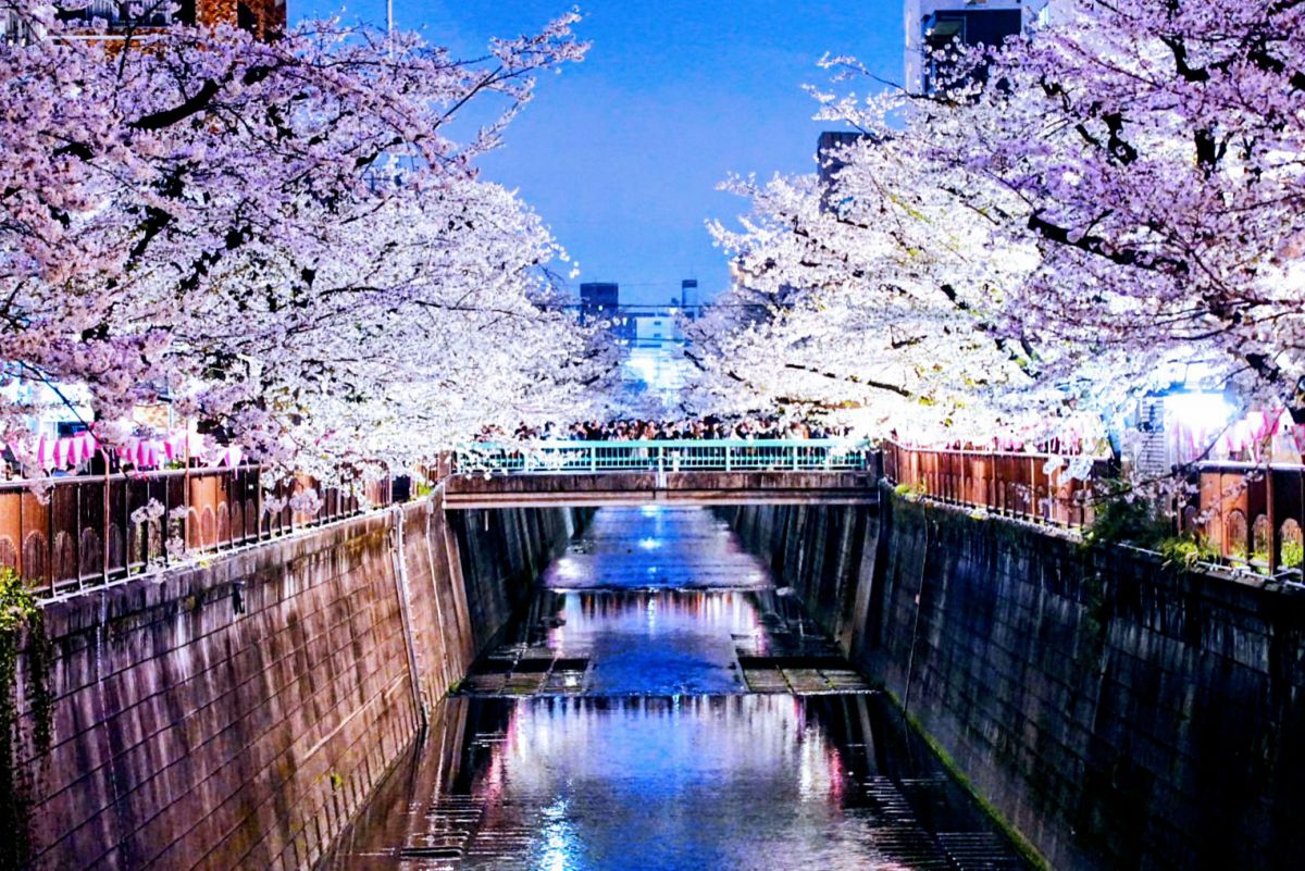 目黒川 | GANREF