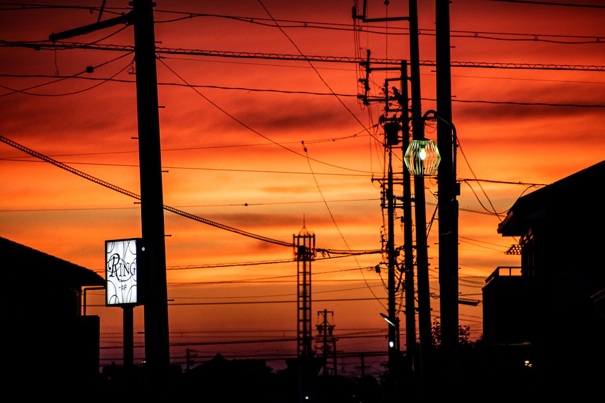 AF-S DX Zoom-Nikkor 55-200mm f/4-5.6G EDで撮影された写真 | 写真