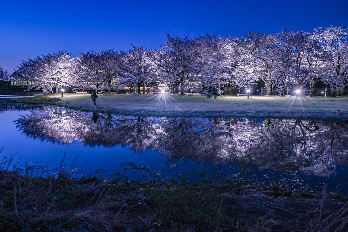 富山県中央植物園 自然 風景 湖沼 Ganref