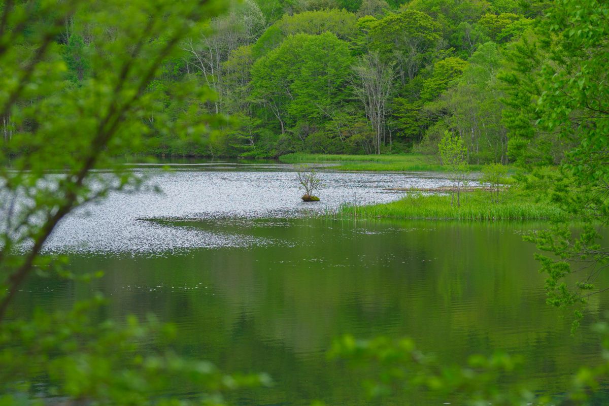 静かな湖 日本の湖の大きさトップ10』実は日本で2番目に大きい幻の湖があった