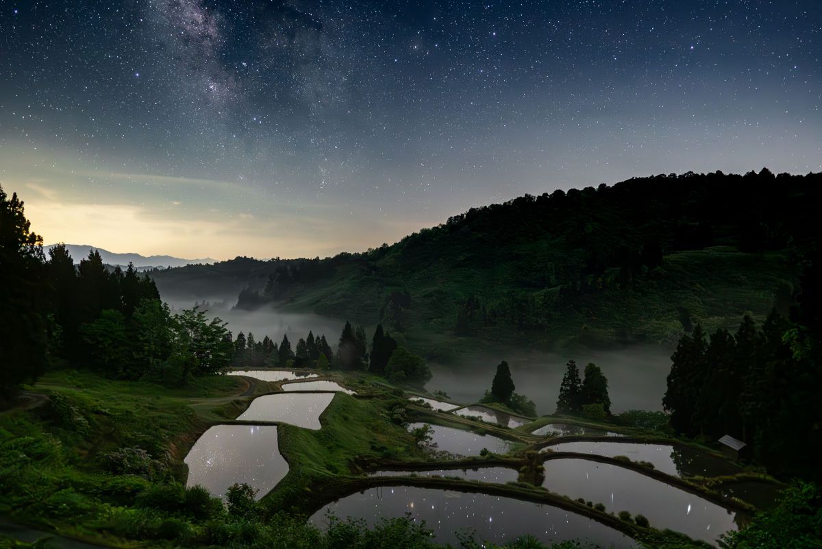 FE 24mm F1.4 GMで撮影された写真 | 写真検索 | GANREF