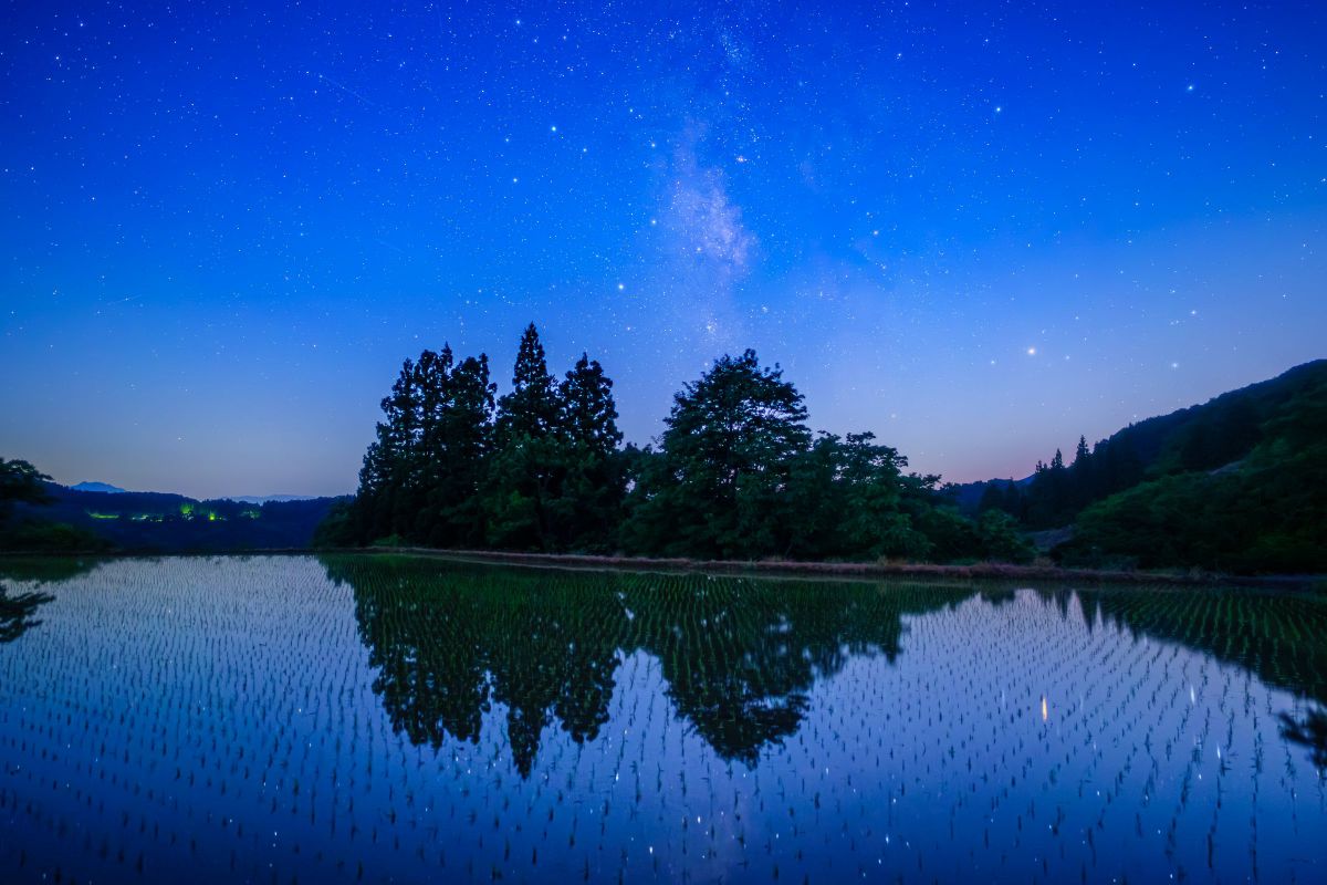 FE 24mm F1.4 GMで撮影された写真 | 写真検索 | GANREF