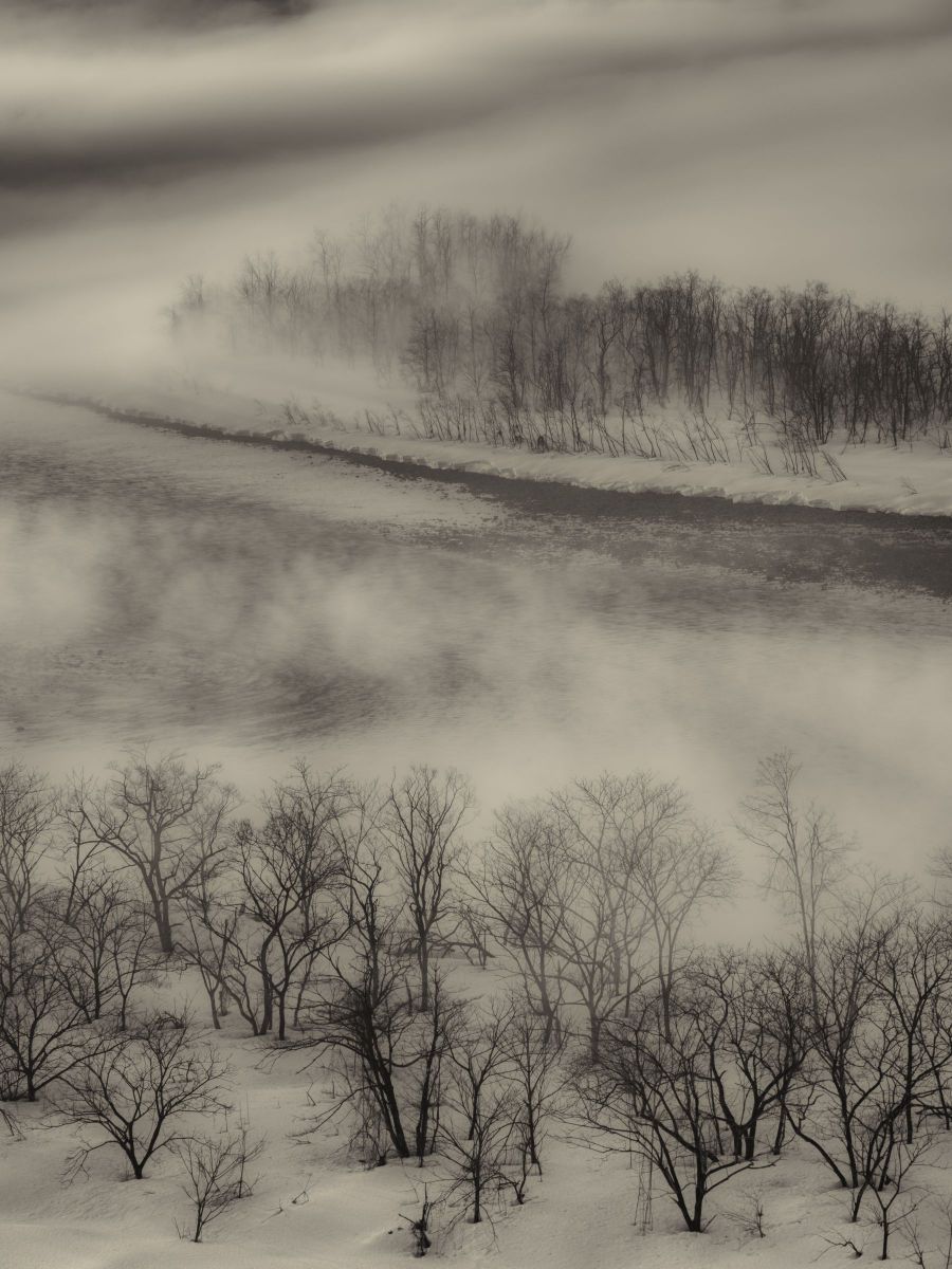 フルダイナミック GANREF