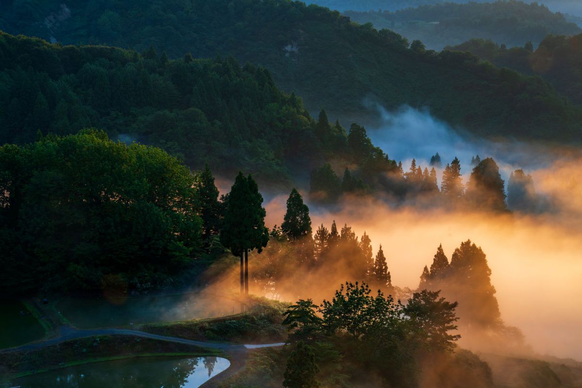 35-150mm F/2-2.8 Di III VXDで撮影された写真 | 写真検索 | GANREF