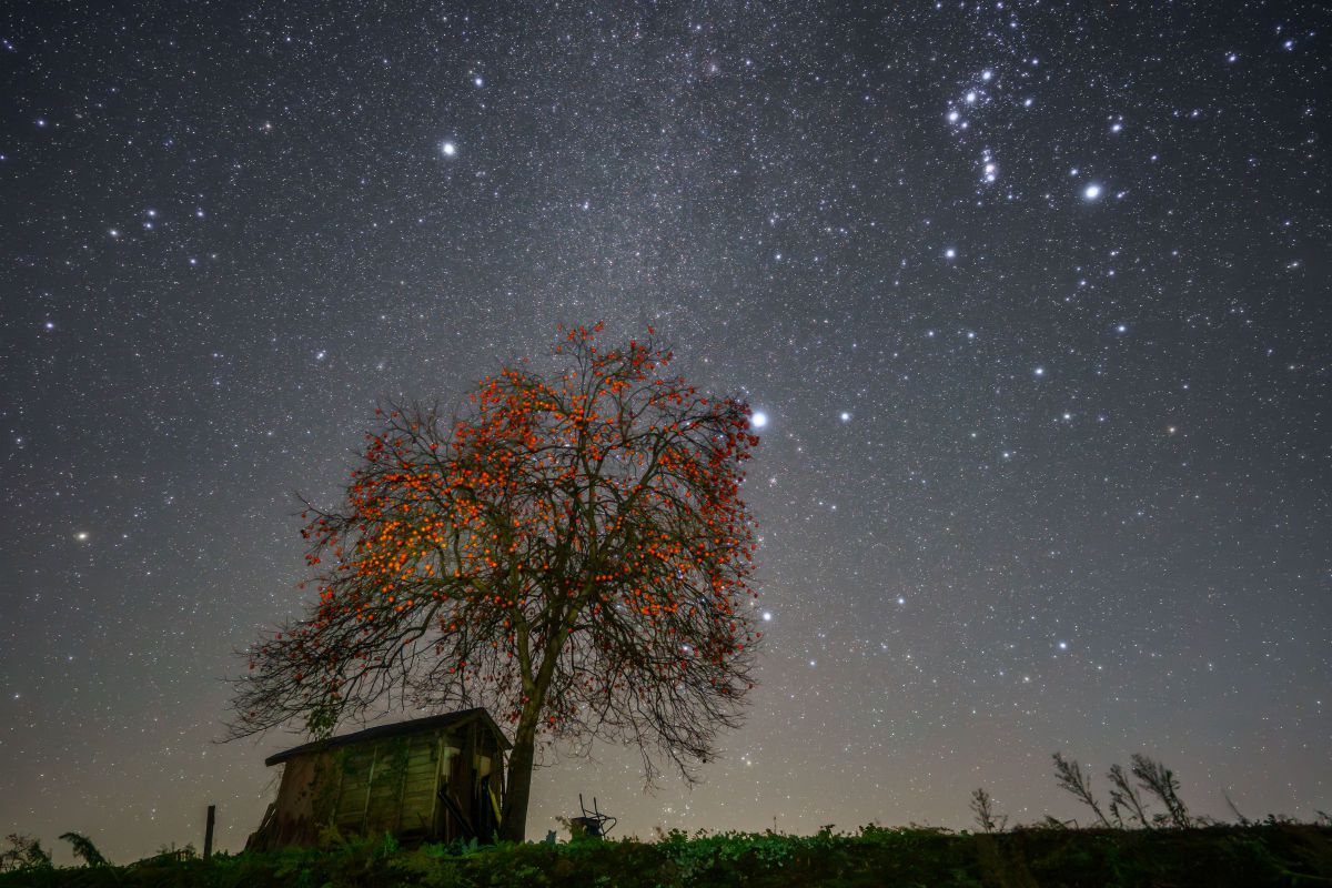 FE 24mm F1.4 GMで撮影された写真 | 写真検索 | GANREF