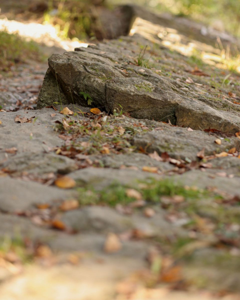 ranzan_Historic trail | GANREF
