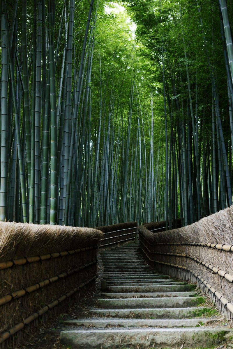EF24-70mm F2.8L II USMで撮影された写真 | 写真検索 | GANREF