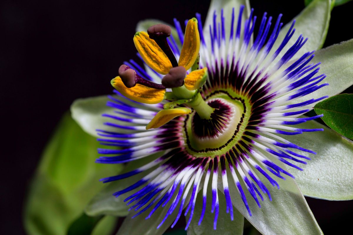 What time is it now！ | GANREF