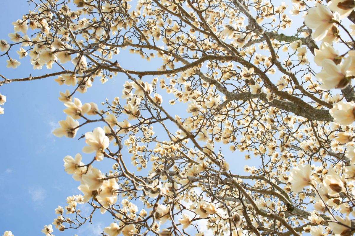 EF35-135mm F4-5.6 USMで撮影された写真 | 写真検索 | GANREF