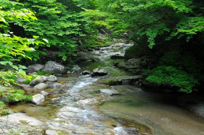 Doraさんの写真一覧 Ganref