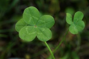 2166a41f2817e1ee1baaf00aae5c32