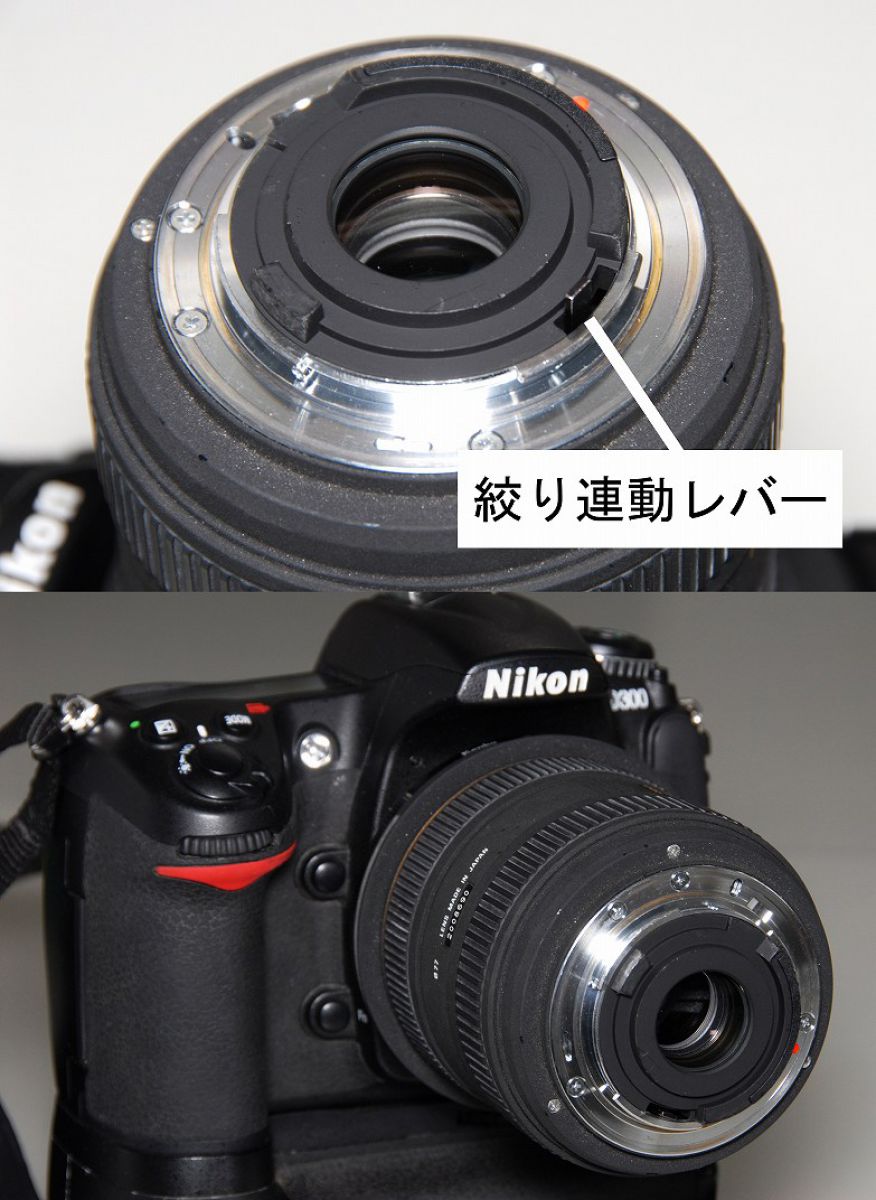 リバースアダプタによる広角レンズでの超マクロ撮影 | GANREF