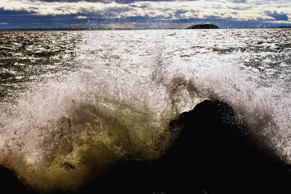 Ai AF Zoom Nikkor 28-105mm F3.5-4.5D（IF）で撮影された写真 | 写真