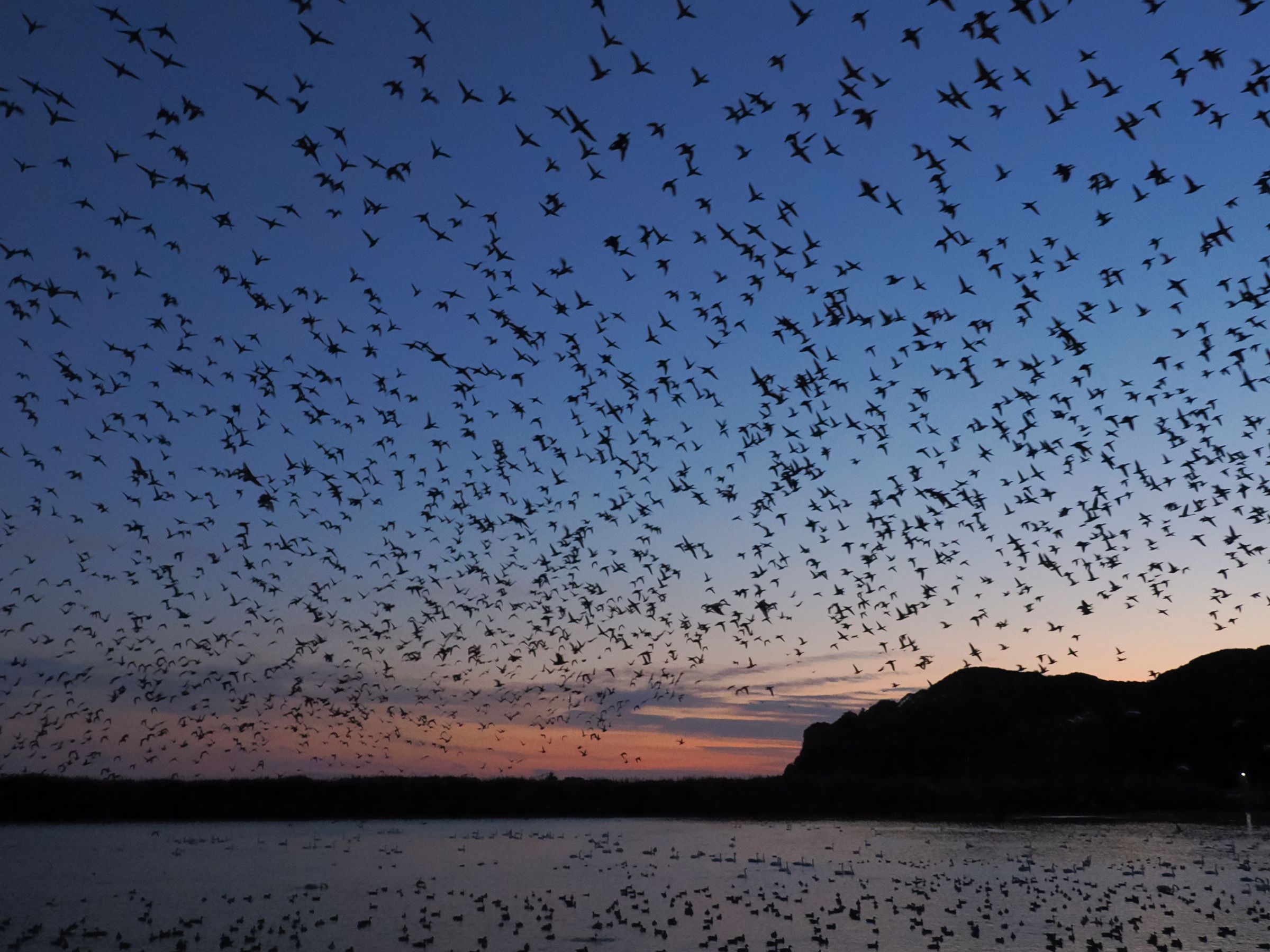 日没の頃 | GANREF