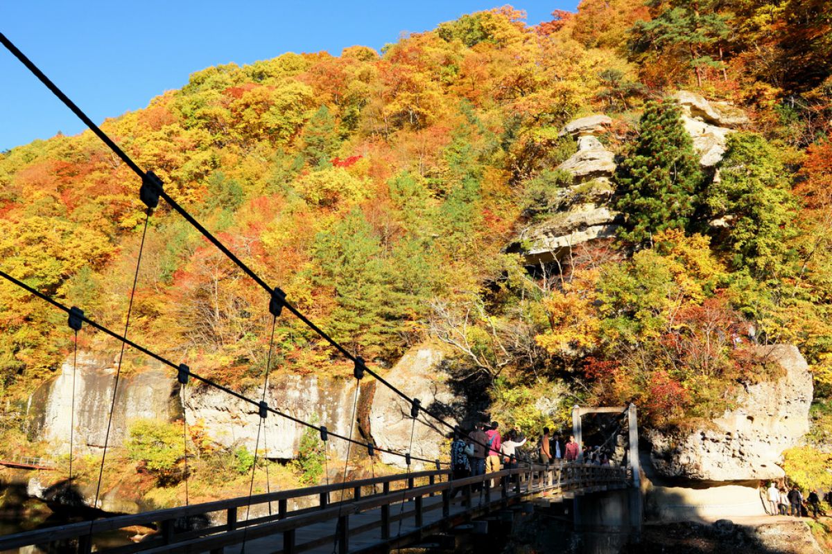 塔のへつりのつり橋 けっこう怖い 自然 風景 水辺 Ganref