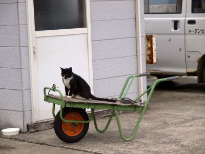 ヴィンテージ　猫車 e96e1d82fb886289031ed2c1d3f6ab