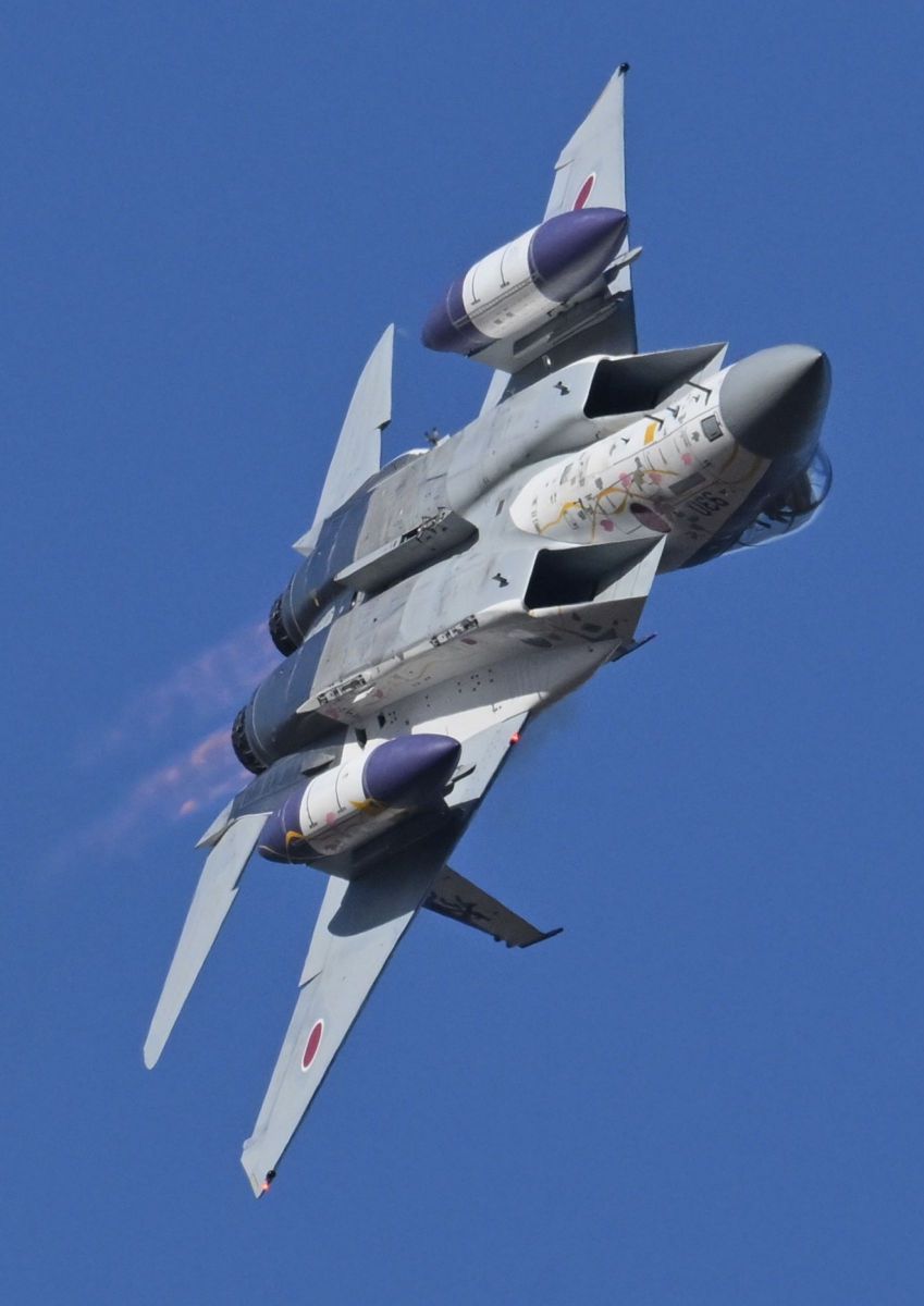 306 f15 機動飛行 | GANREF