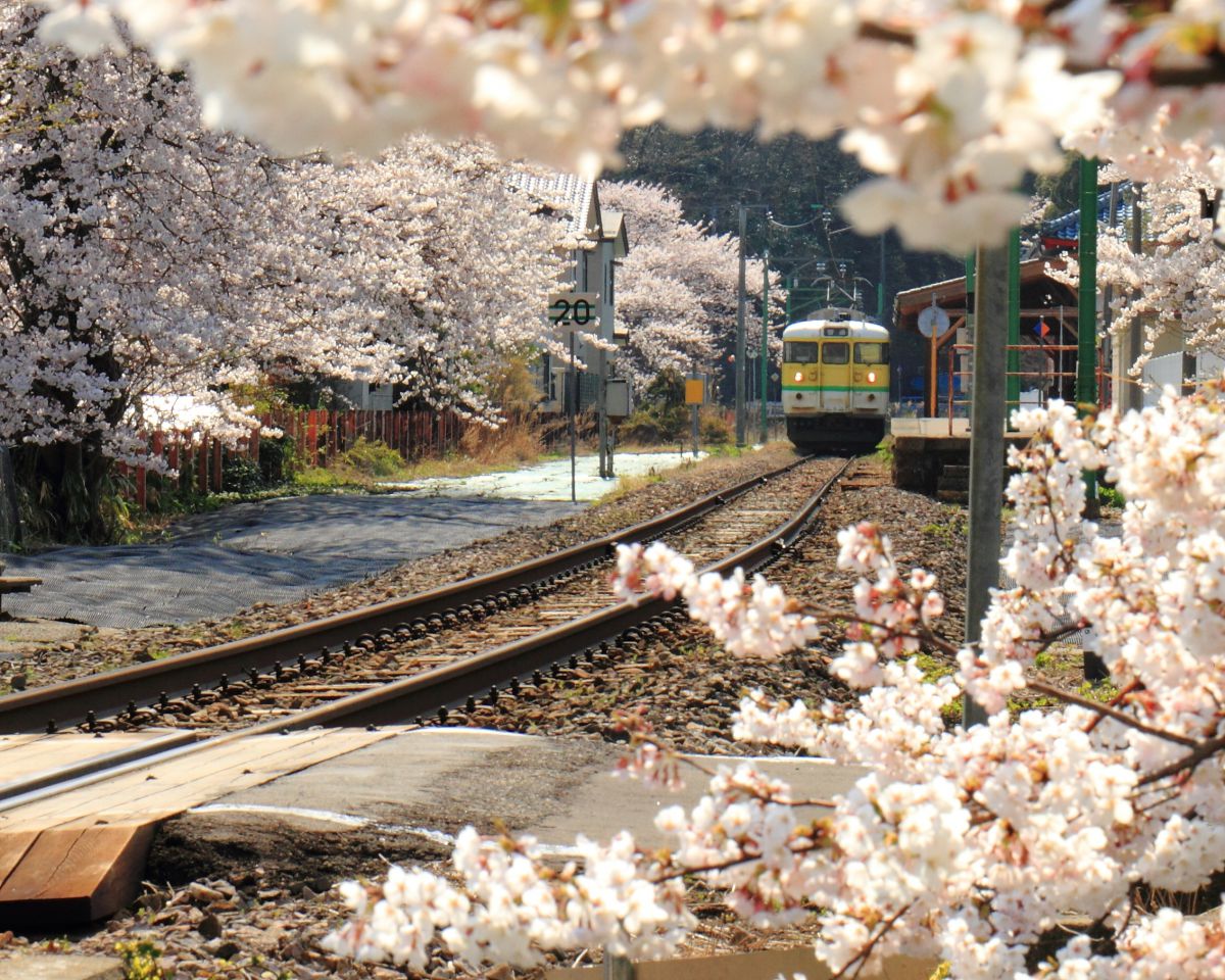 鉄道のある風景 | GANREF