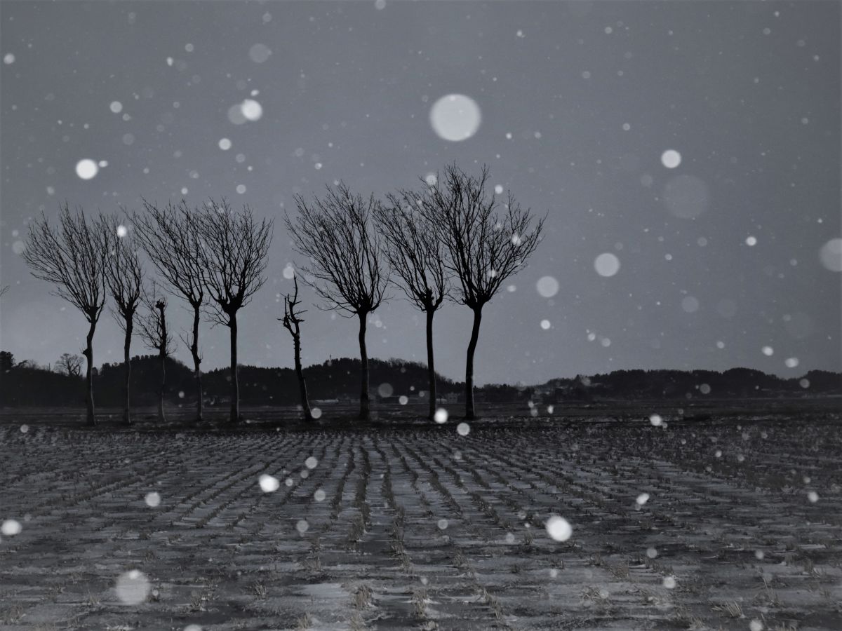 越後平野の年の瀬 自然 風景 大地 Ganref