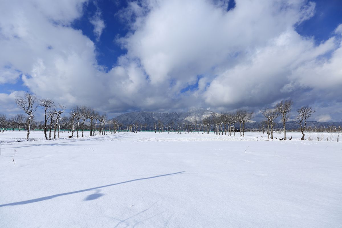 雪晴れの朝 エイプリルセット – 雪 / 海の底でうたう唄 | レコードの日