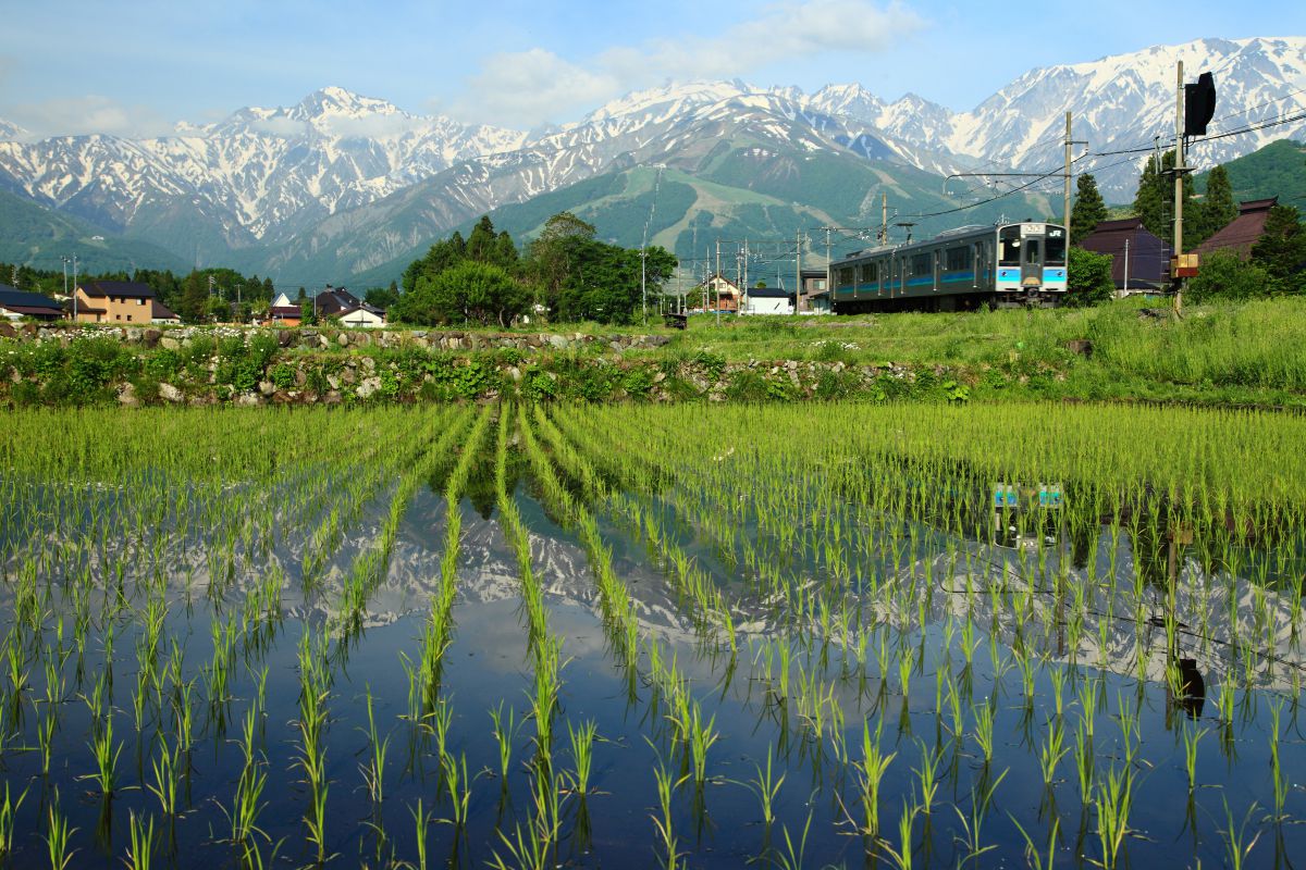 鉄道のある風景 | GANREF