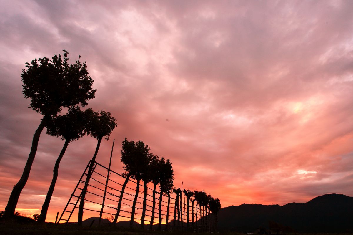 風景写真に最適◎ Canon EF 17-40mm F4L USM 風景写真に最適◎ Canon EF 17-40mm F4L USM