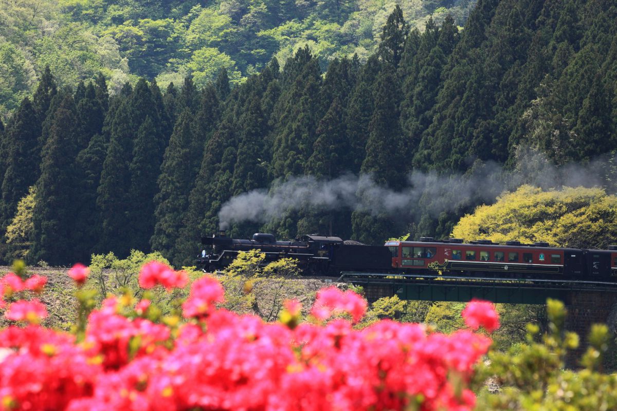 鉄道のある風景 2023年 西武鉄道カレンダー「電車のある風景。」発売｜鉄道