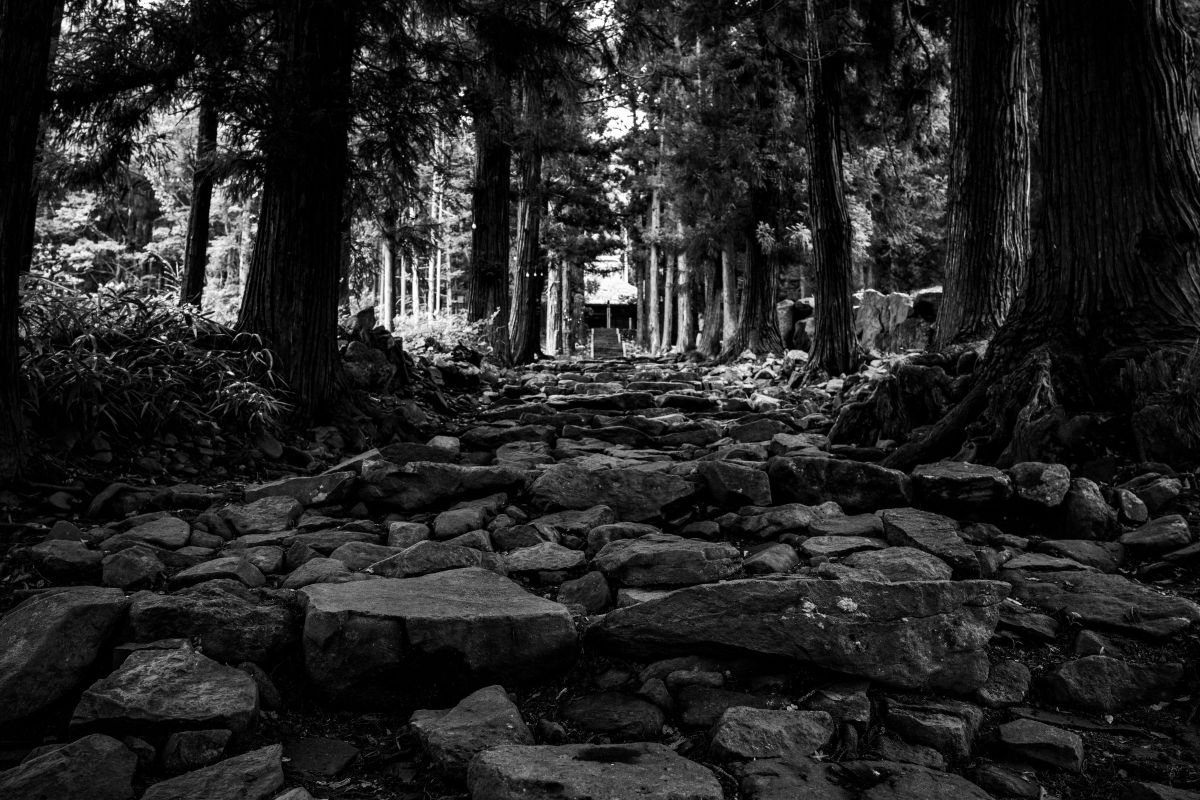 ZEISS Loxia 2.4/25で撮影された写真 | 写真検索 | GANREF
