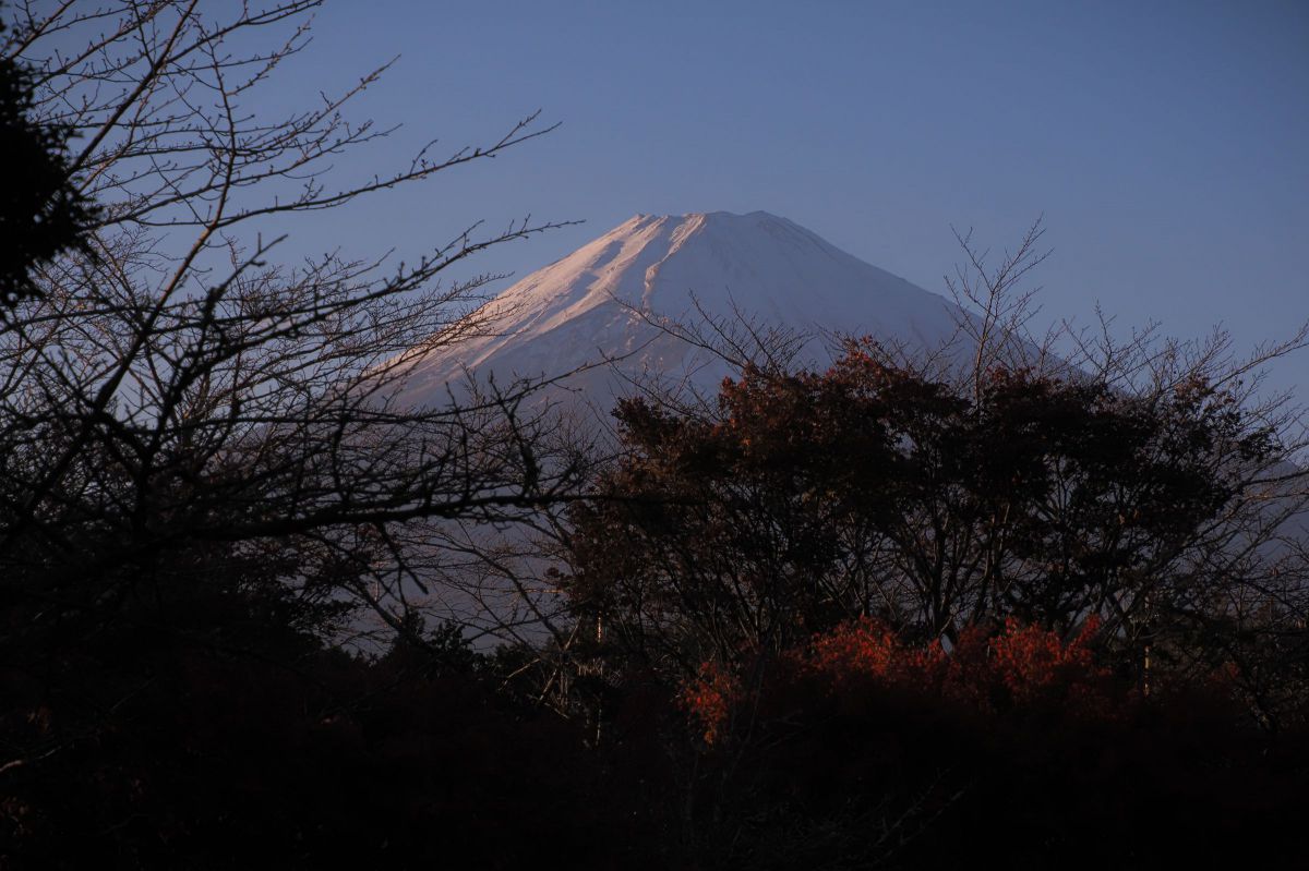晩秋の富士 | GANREF