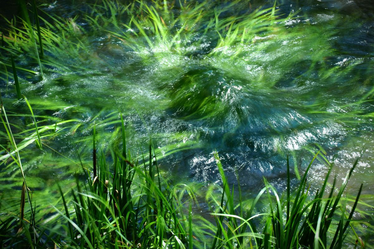 湧き出る | GANREF