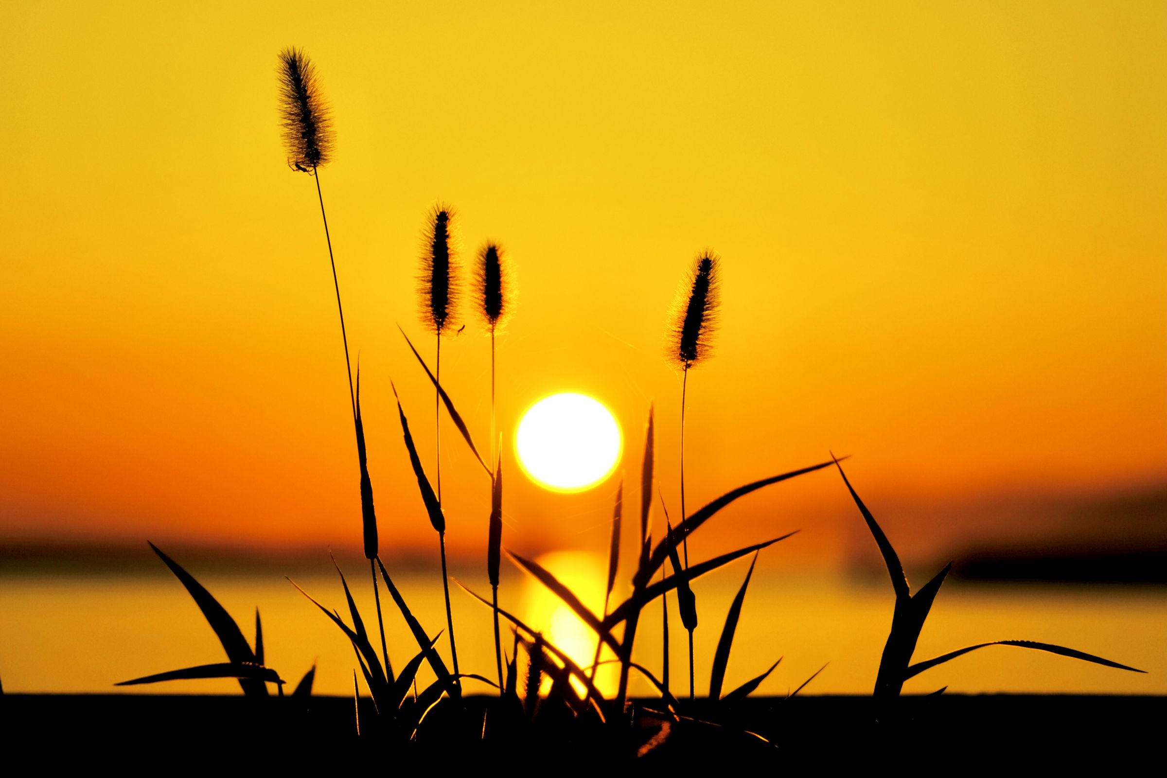 秋の気配(瀬戸の夕日) | GANREF