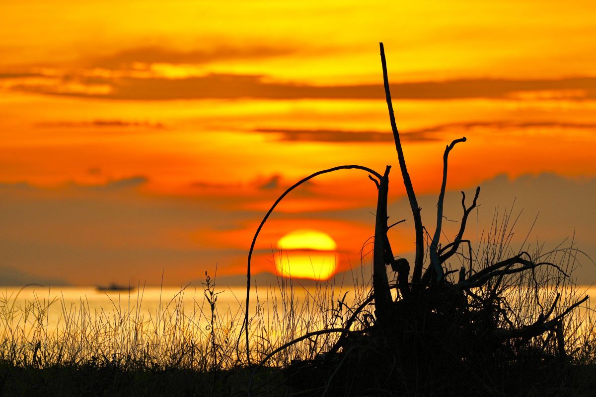 SUNSET | GANREF