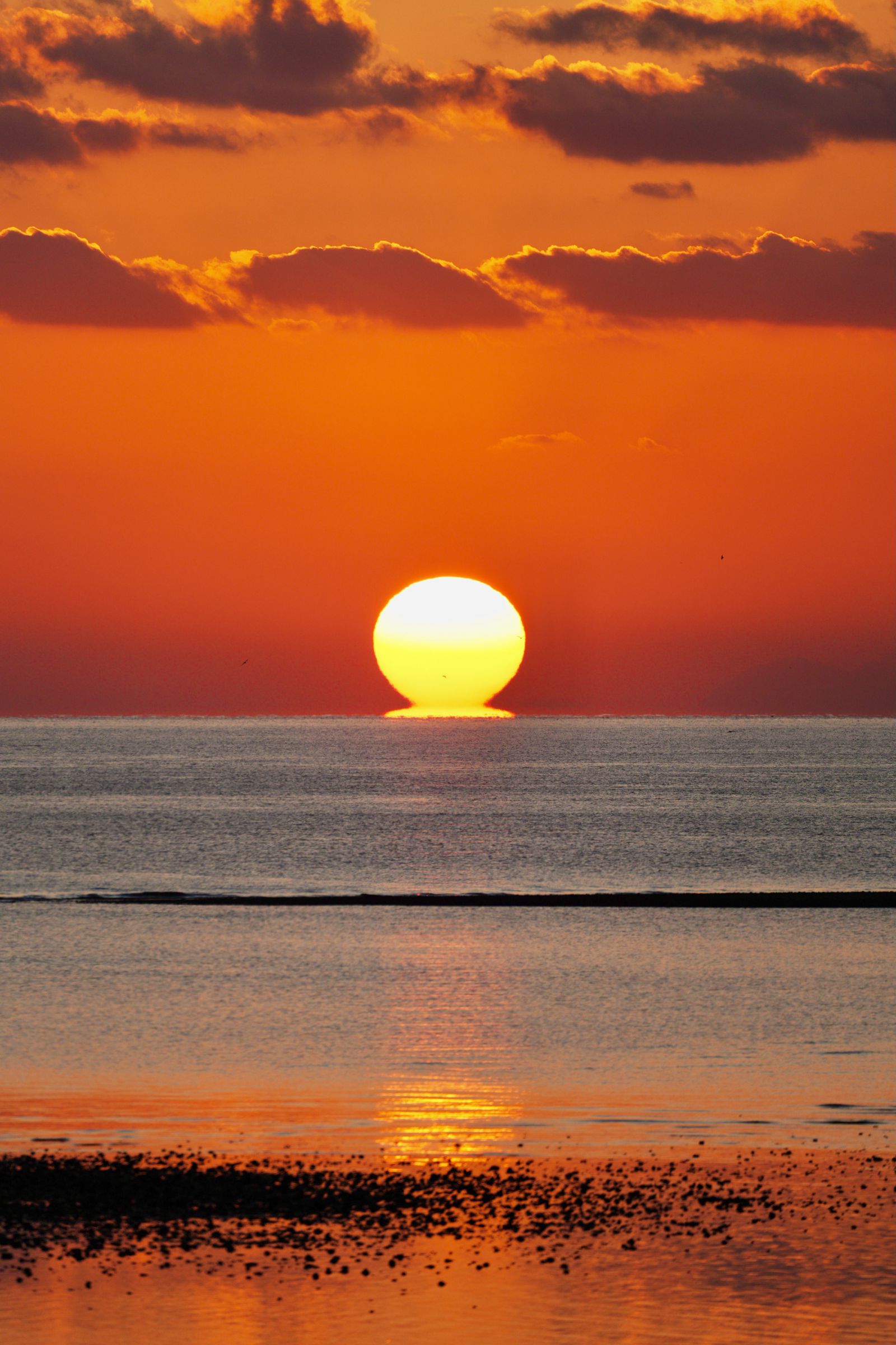 達磨夕日2026.1.6 | GANREF