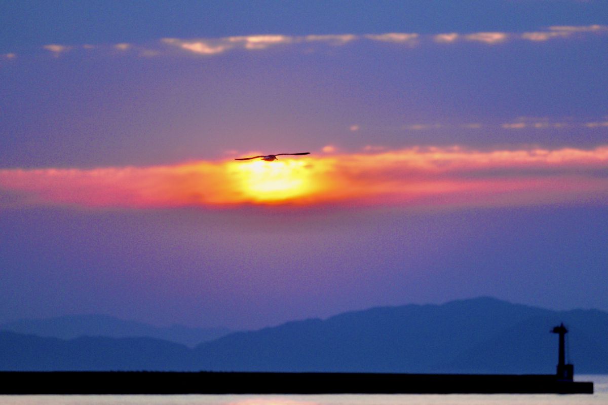 SUNSET | GANREF