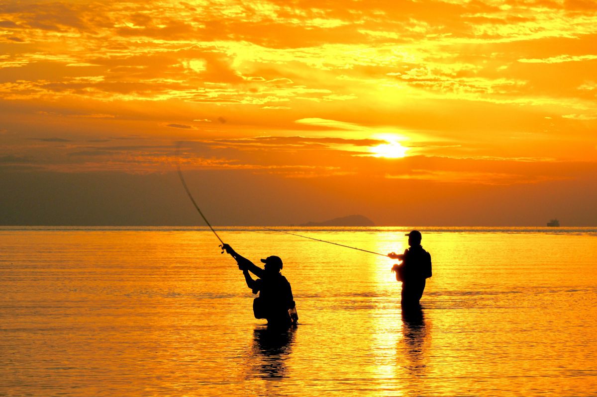 Sunset Fishing | GANREF