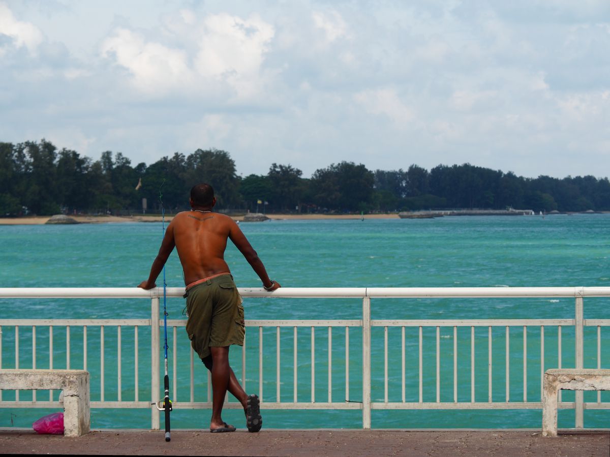 海を眺める男 自然 風景 海 Ganref
