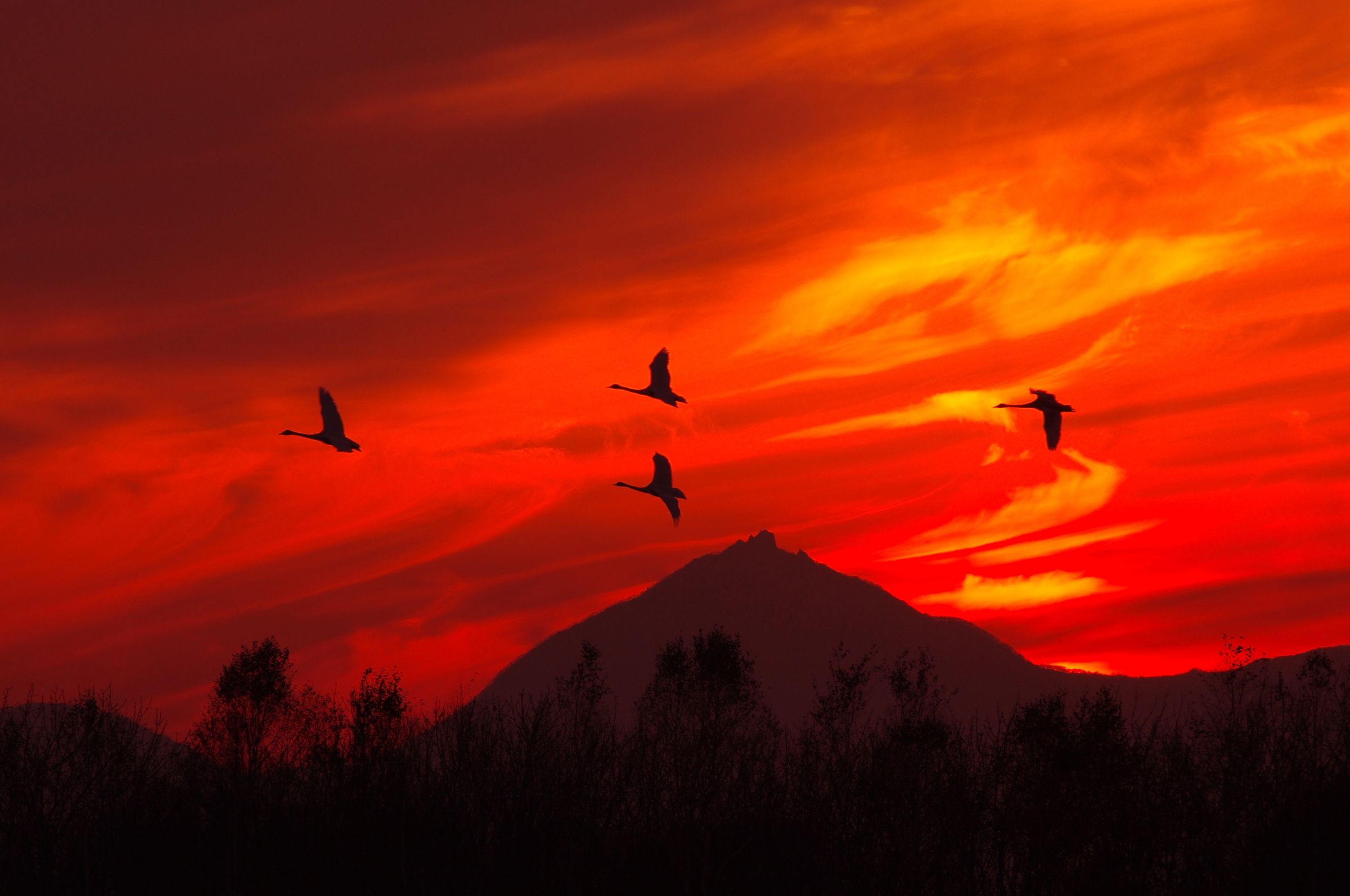 秋の夕暮れ 秋は夕暮れ 彩時記～9月 郷愁の世界へいざなうあかね空は心の原風景 絵画