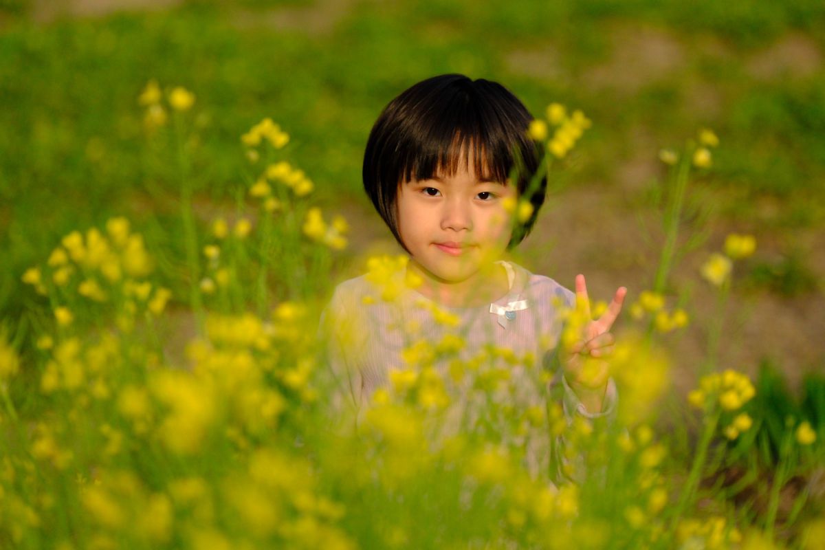 菜の花の沖 DVD-BOX  司馬遼太郎原作 NHK放送開始75周年記念番組 竹中直人, 鶴田真由 菜の花の沖 DVD-BOX 司馬遼太郎原作 NHK放送開始75周年記念番組
