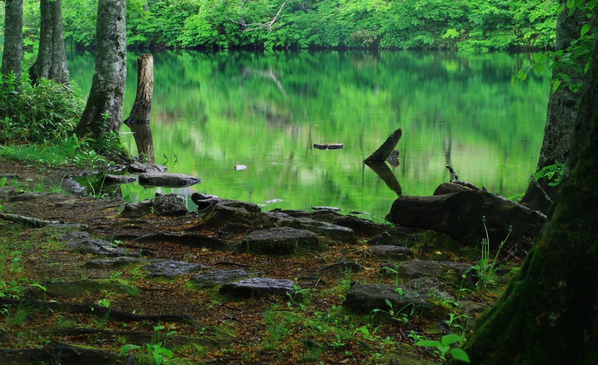 安息の緑沼 自然 風景 湖沼 Ganref 安息の緑沼 自然 風景 湖沼 Ganref