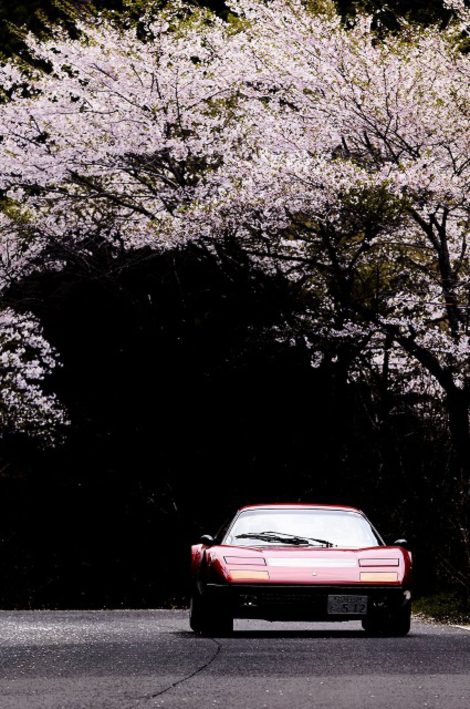 フェラーリ512BBと桜 | GANREF