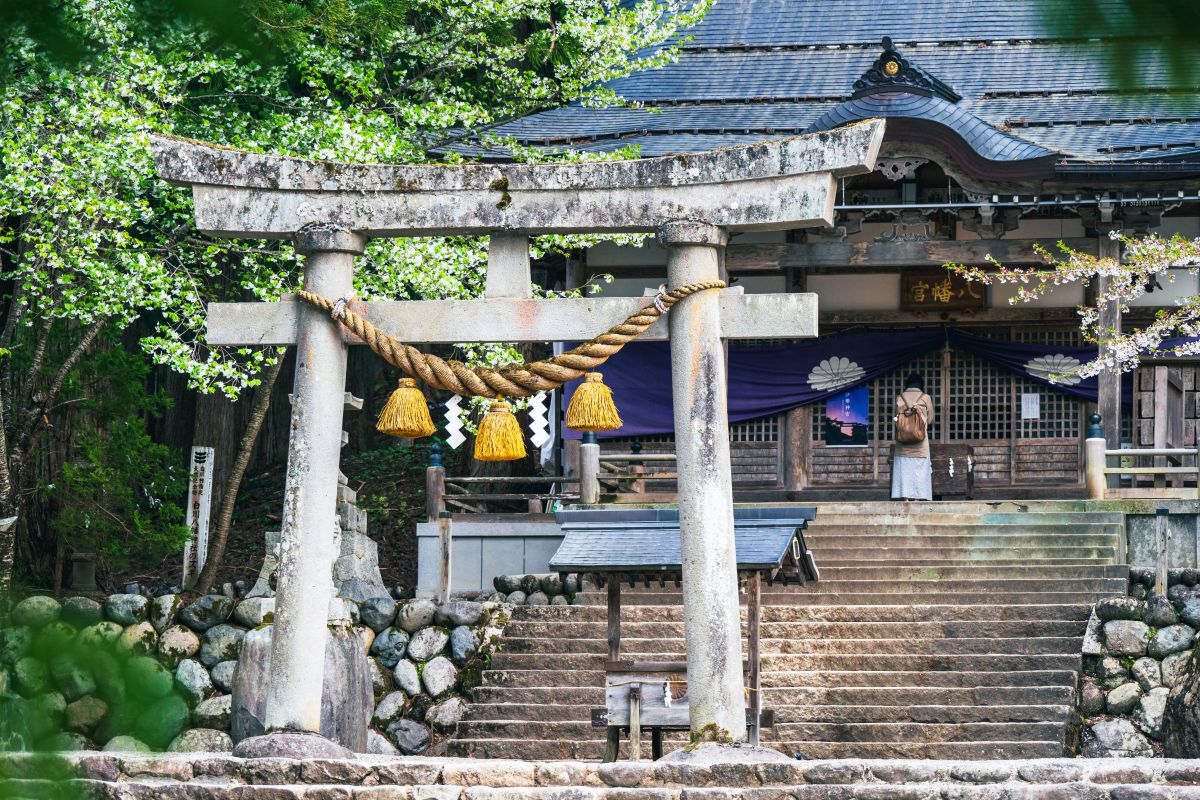 NIKKOR Z 28-400mm f/4-8 VRで撮影された写真 | 写真検索 | GANREF