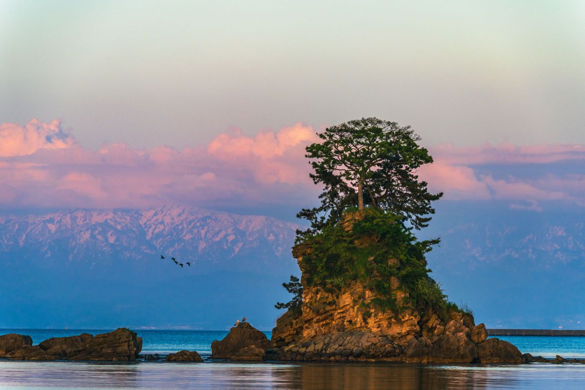 NIKKOR Z 28-400mm f/4-8 VRで撮影された写真 | 写真検索 | GANREF