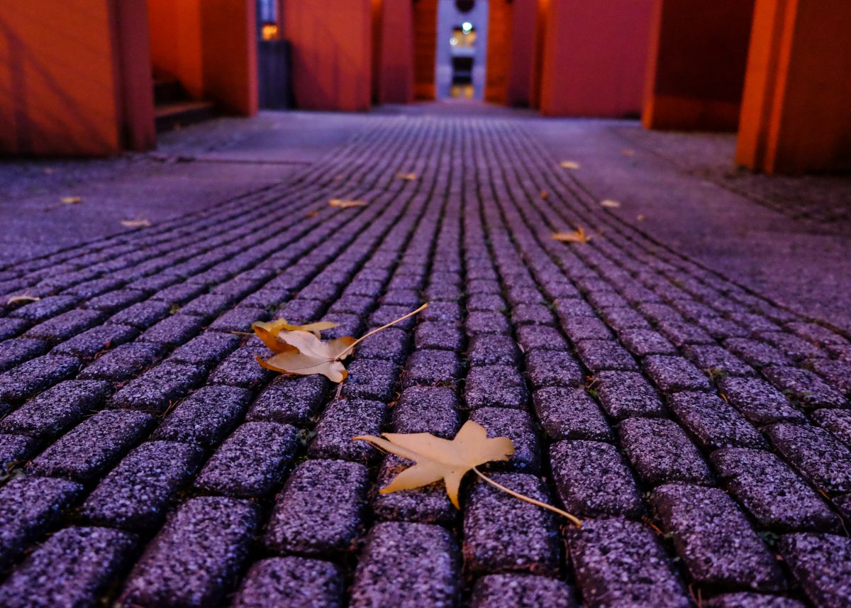 XF18-55mmF2.8-4 R LM OISで撮影された写真 | 写真検索 | GANREF