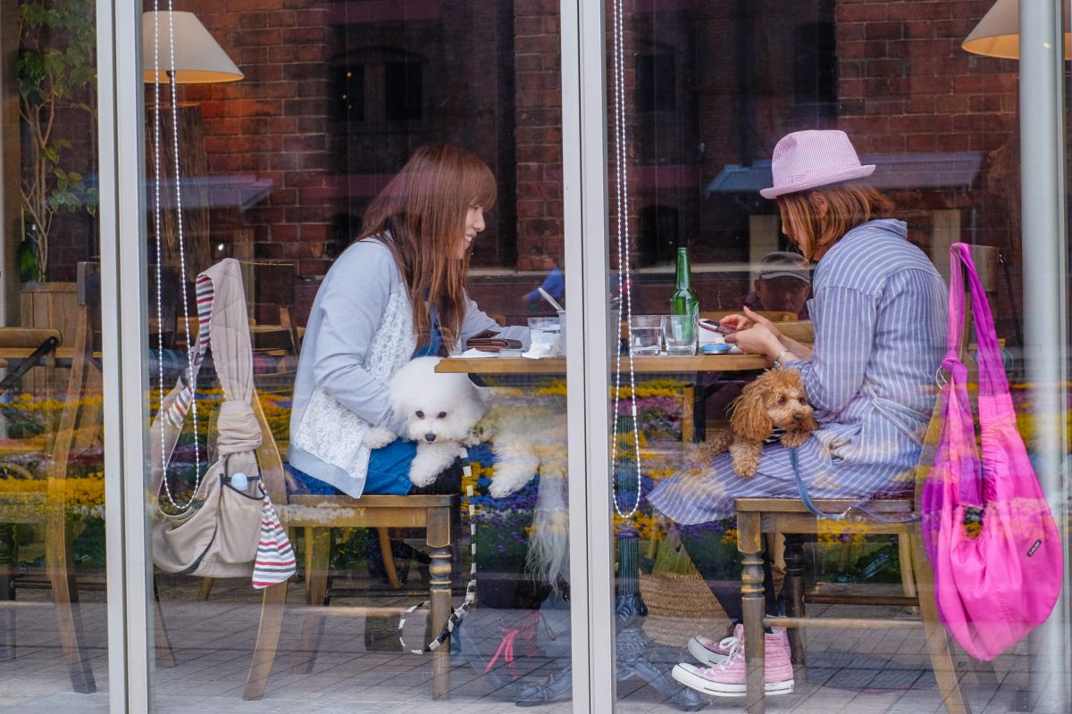 私待つわ 街並み 建物 街並み Ganref