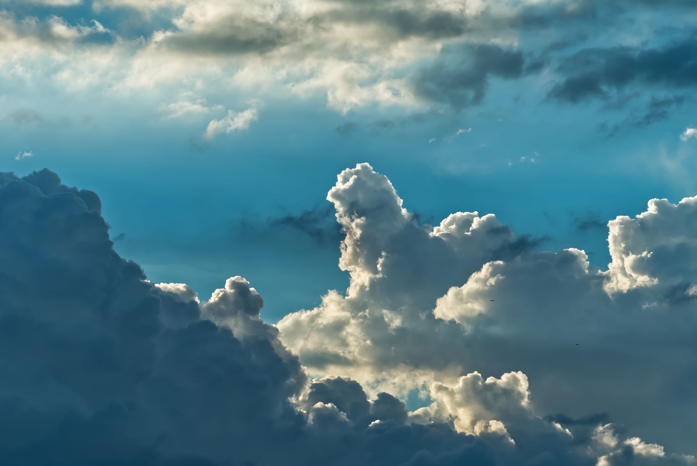 ゴジラ風の雲 | GANREF