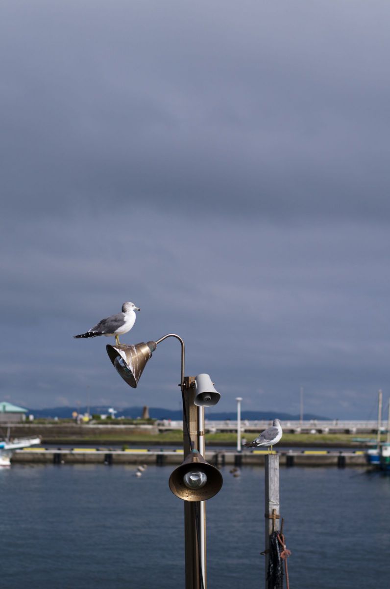 ジョナサン GANREF