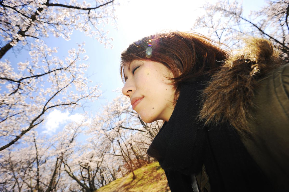 Ai Nikkor 18mm F3.5Sで撮影された写真 | 写真検索 | GANREF