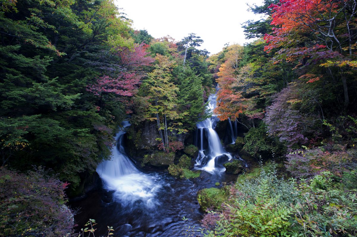 Ai Nikkor 18mm F3.5Sで撮影された写真 | 写真検索 | GANREF