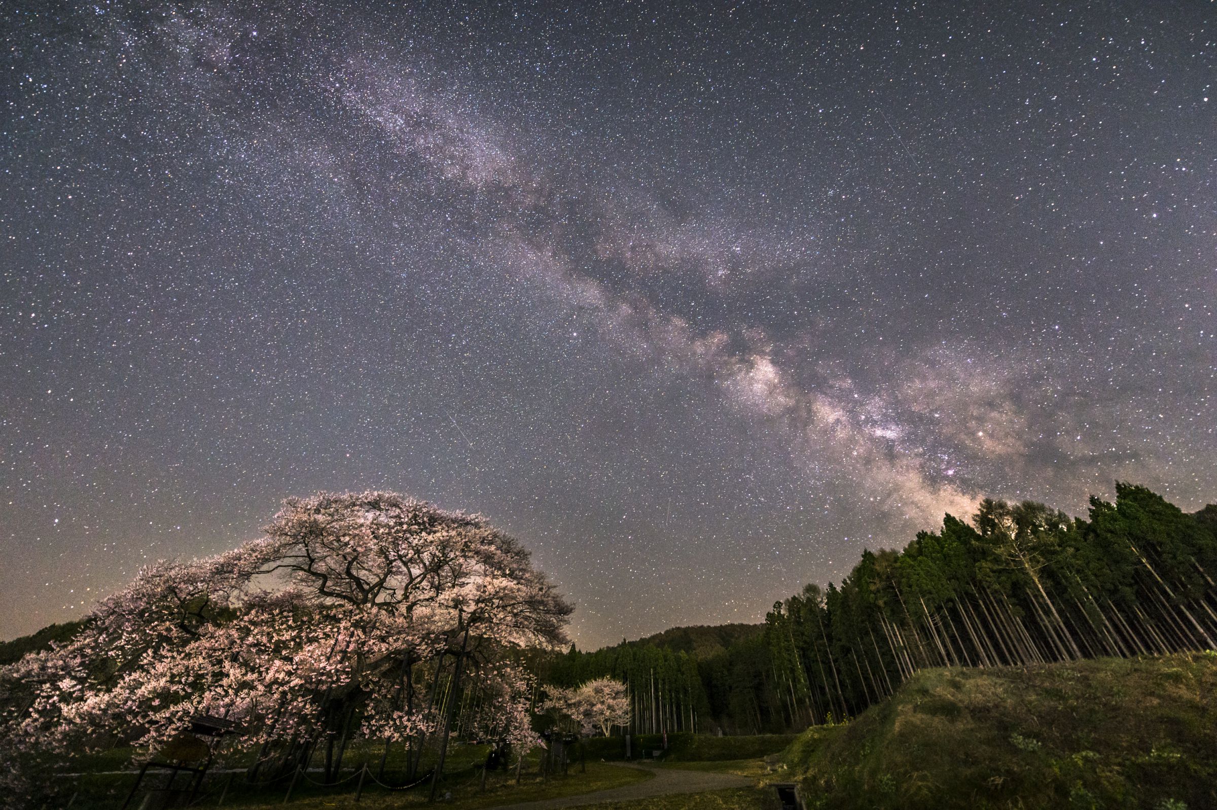 黒部のエドヒガン桜星景 | GANREF